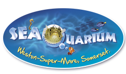 SeaQuarium