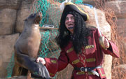 Shiver me timbers its Pirate Week at SeaQuarium Rhyl