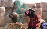 Shiver me Timbers, it be Pirate Month at SeaQuarium Rhyl!