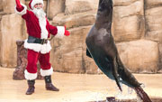 PRICES FROZEN FOR SANTA AT SEAQUARIUM