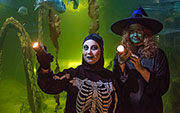 THERE'S SOMETHING SPOOKY GOING ON AT SEAQUARIUM RHYL THIS HALLOWEEN