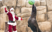 SANTA'S GROTTO AT SEAQUARIUM