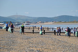 Beach Clean