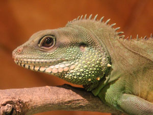 Discovery Sessions...